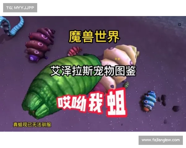 魔兽世界宠物伤害：解密中心